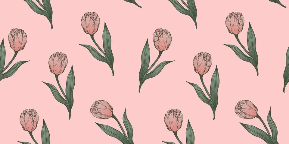 Seamless pattern with hand drawn flower of tulips. Stock Illustration