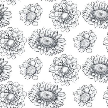 Seamless pattern with hand drawn flowers and plants Illustrazione stock