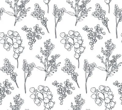 Seamless pattern with hand drawn flowers and plants Stock Illustration