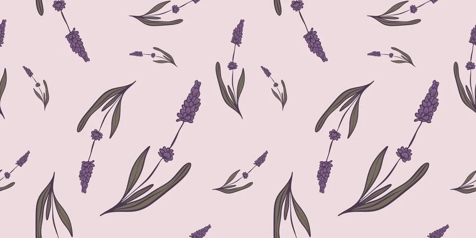 Seamless pattern with hand drawn flowers of lavender. Stockillustratie