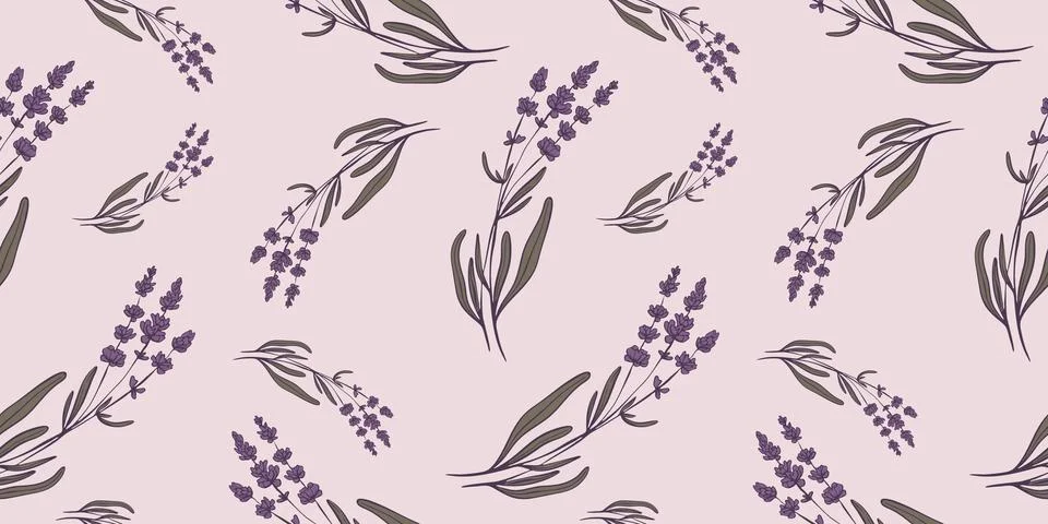 Seamless pattern with hand drawn flowers of lavender. Stockillustratie