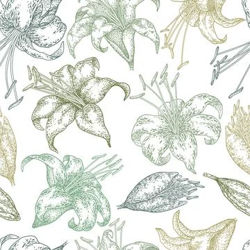 Seamless pattern of hand drawn flowers. Trendy botanical elements. Line art.. Illustrazione stock