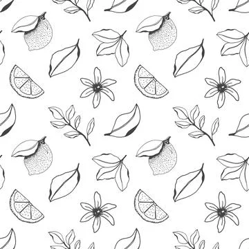  seamless pattern with hand drawn fresh lemon tree branches, Stock Illustration
