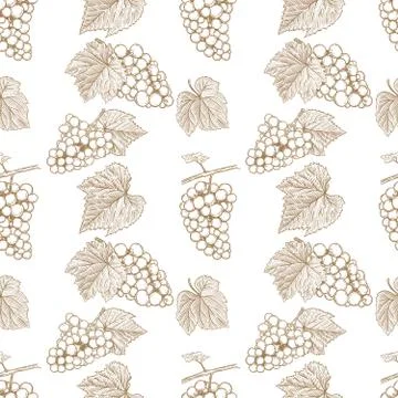 Seamless pattern with hand drawn grape. Design element for poster, card, bann Illustrazione stock