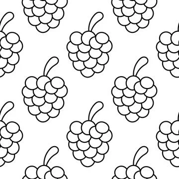 Seamless pattern of hand drawn grapes Stock Illustration