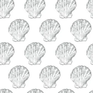 Seamless pattern hand drawn gray seashells vector illustration 스톡 일러스트