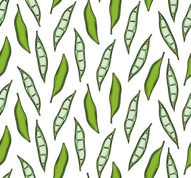 Seamless pattern with hand drawn green beans on white background. Stock Illustration