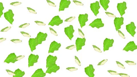 Seamless pattern of hand-drawn green bitter melon slices and fresh leaves o.. Stock Illustration