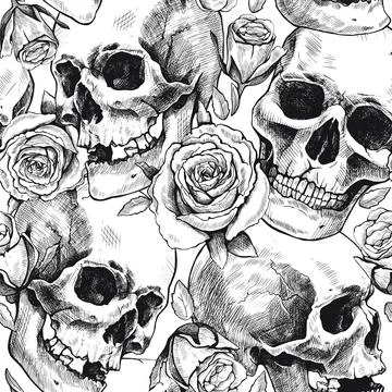 Seamless pattern of hand drawn human skulls and rose flowers. Vector graphic  Stock Illustration
