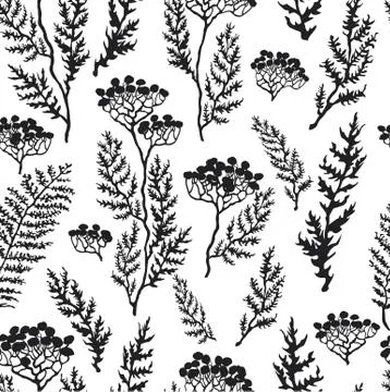Seamless pattern with hand drawn illustration of plants Stock Illustration