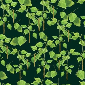 Seamless pattern with hand drawn leaves and branch of birch. Stock Illustration