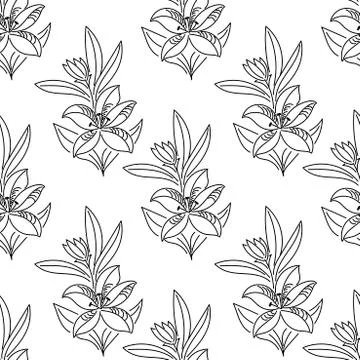 Seamless pattern. Hand-drawn lilies with buds and leaves, vector , sketch Stock Illustration