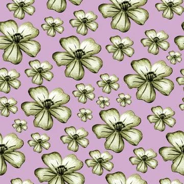 Seamless Pattern with Hand Drawn Marigold Flower. Stock Illustration