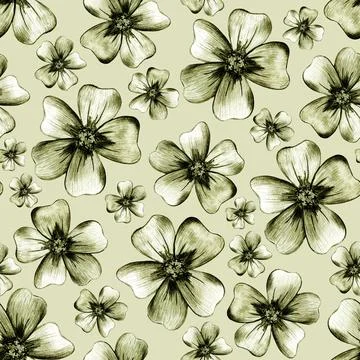 Seamless Pattern with Hand Drawn Marigold Flower. Stock Illustration