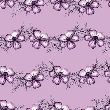Seamless Pattern with Hand Drawn Marigold Flower. Stock Photos