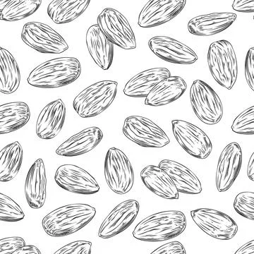 Seamless pattern with hand drawn monochrome almond nuts sketch style Stock Illustration