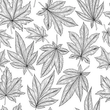 Seamless pattern of hand drawn monochrome autumn maple leaves. Engraving li.. Stock Illustration
