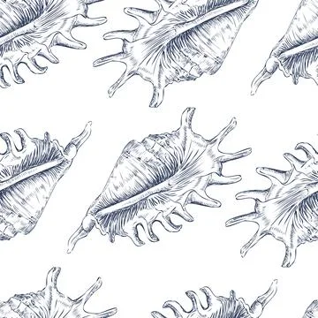Seamless pattern hand drawn navy seashells vector illustration 스톡 일러스트