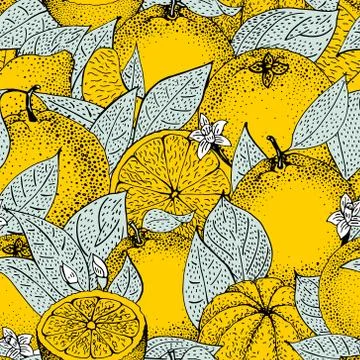 Seamless pattern of hand drawn oranges and slices in sketch style. Vector i.. Stock Illustration