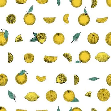 Seamless pattern of hand drawn oranges and slices in sketch style. Vector i.. Stock Illustration
