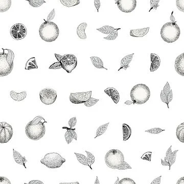 Seamless pattern of hand drawn oranges and slices in sketch style. Vector i.. Stock Illustration