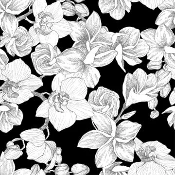 Seamless pattern. Hand drawn outline bouquet with orchid and plumeria. Highly Stock Illustration