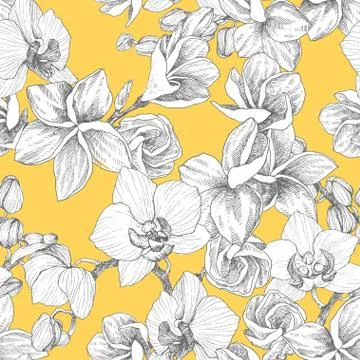 Seamless pattern. Hand drawn outline bouquet with orchid and plumeria. Highly Stock Illustration