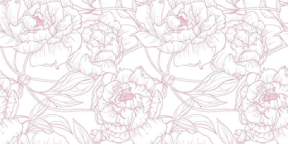 Seamless pattern, hand drawn outline pink Peony flowers on white background Stock Illustration