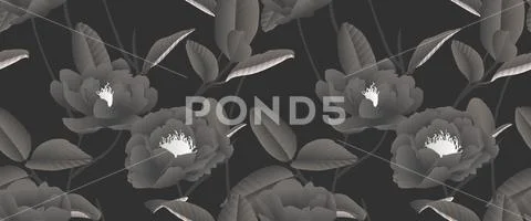 Seamless pattern, hand drawn pastel black Peony flowers with leaves on black Stock Illustration