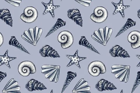 Seamless pattern with hand drawn pencil illustration of seashells イラスト素材