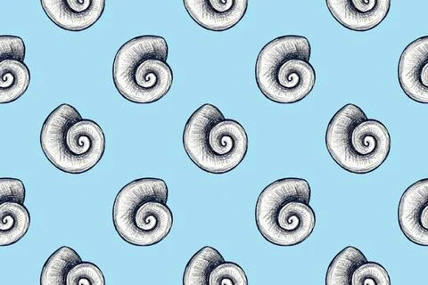 Seamless pattern with hand drawn pencil illustration of seashells Illustrazione stock