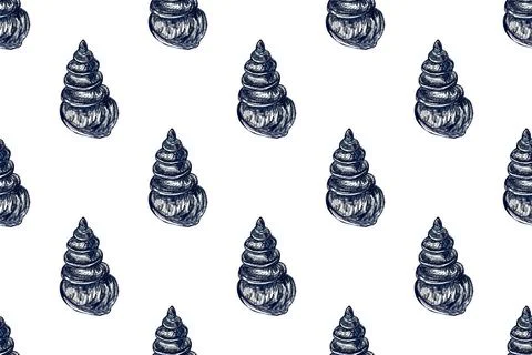 Seamless pattern with hand drawn pencil illustration of seashells Illustrazione stock