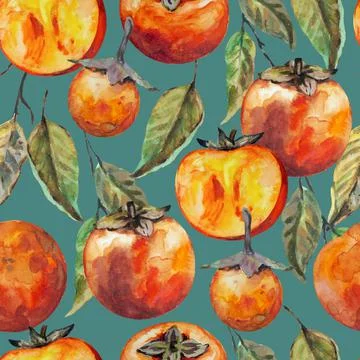 Seamless pattern with hand drawn persimmon fruits, isolated on white background Stock Illustration