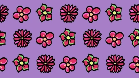 Seamless pattern of hand-drawn pink flowers, dense blooming daisies background Stock Footage 337976472