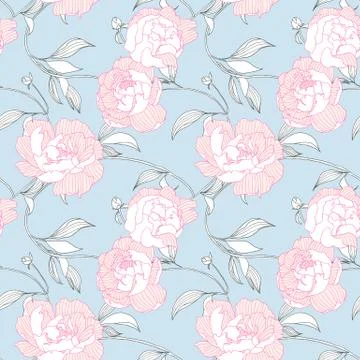 Seamless pattern, hand drawn pink Peony flowers on blue background Stock Illustration