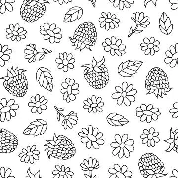 Seamless pattern of hand-drawn raspberry berries and flowers. Black and white Stock Illustration