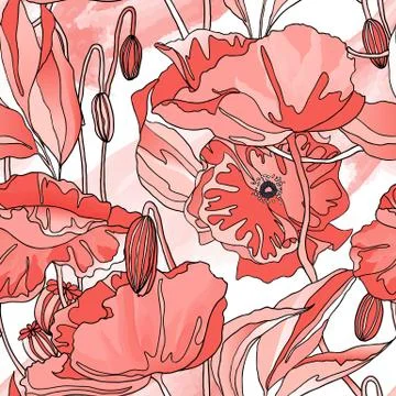 Seamless pattern, hand drawn red poppy flowers on white background Illustrazione stock