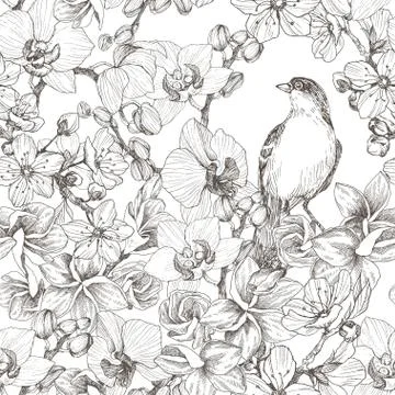 Seamless pattern. Hand drawn romantic retro illustration with bird, orchid and Stock Illustration