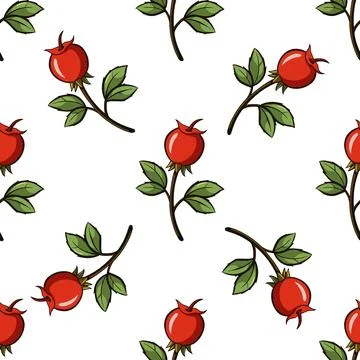 Seamless pattern with hand drawn rosehip Stock Illustration