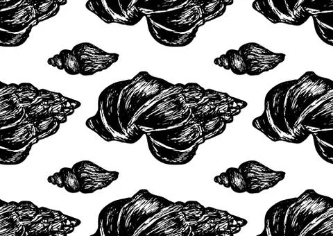 Seamless pattern with hand drawn seashells. Illustrazione stock