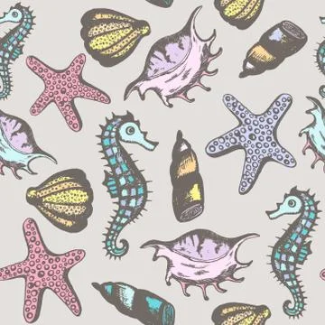 Seamless pattern with hand drawn seashells. Retro Marine background. Vector.. イラスト素材