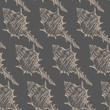 Seamless pattern hand drawn seashells gray vector illustration 스톡 일러스트