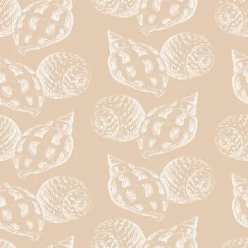 Seamless pattern hand drawn seashells beige vector illustration Stock Illustration