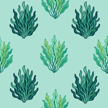 Seamless pattern with hand drawn seaweed Stock Illustration