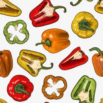 Seamless pattern with hand drawn sketch style peppers isolated on white Stock Illustration