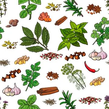 Seamless pattern of hand drawn spices and herbs Illustrazione stock