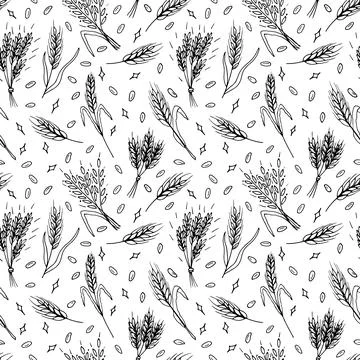 Seamless pattern with hand drawn spikelets of wheat in sketch. Grain ears. .. イラスト素材