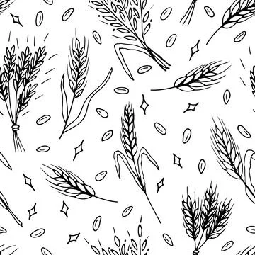 Seamless pattern with hand drawn spikelets of wheat in sketch. Grain ears. .. Stock Illustration