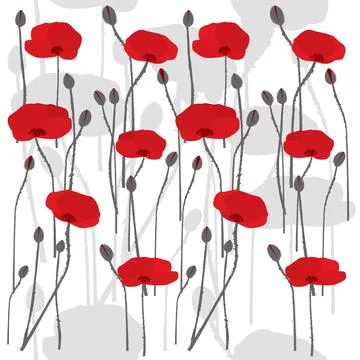Seamless pattern with hand drawn stylized poppies on white background Stock Illustration