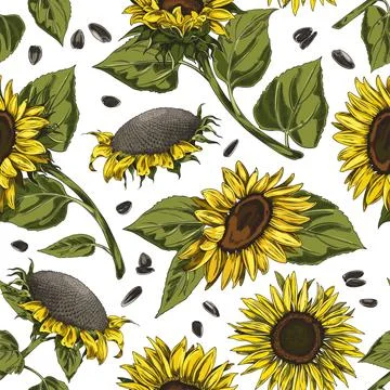 Seamless pattern with hand drawn sunflowers sketch style Stock Illustration